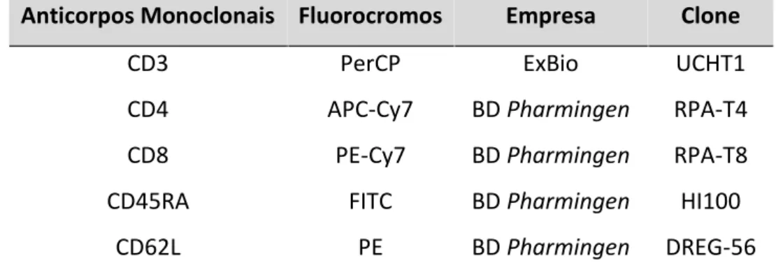 Tabela 6 - Descrição dos anticorpos monoclonais para fenotipagem dos linfócitos T.