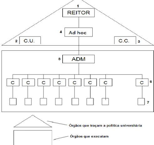 Figura 1- Estrutura da universidade modernizada segundo Rudolph Atcon 