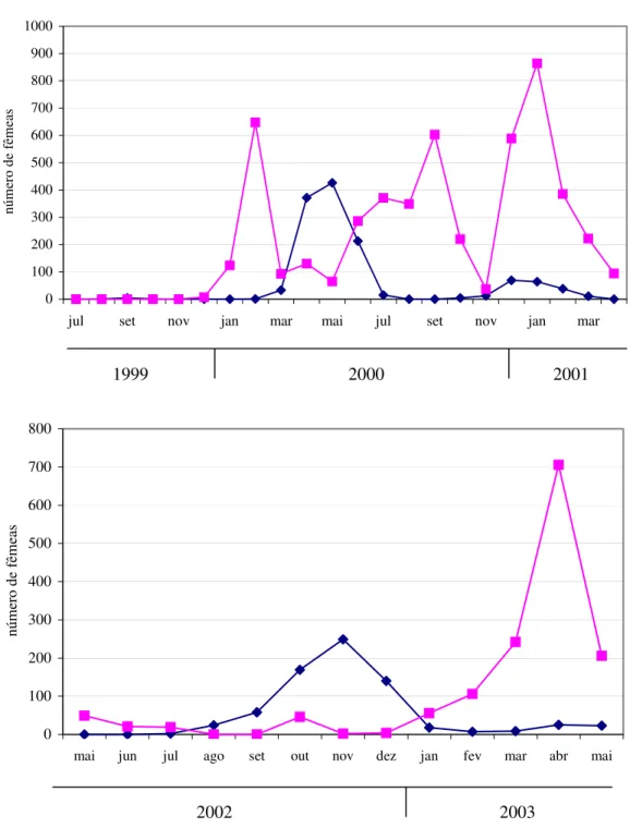 Figura 6 - Flutuação populacional de fêmeas de A. zenildae capturadas em armadilhas  tipo McPhail em Nova Porteirinha e Jaíba, MG, julho/1999 a abril/2001 e  maio/2002 a maio/2003 