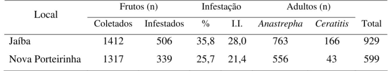 Tabela 7. Número de goiabas coletadas e infestadas, porcentagem de infestação e  intensidade de infestação de moscas-das-frutas em dois pomares comerciais  no norte de Minas Gerais (maio/2002 a agosto/2003) 