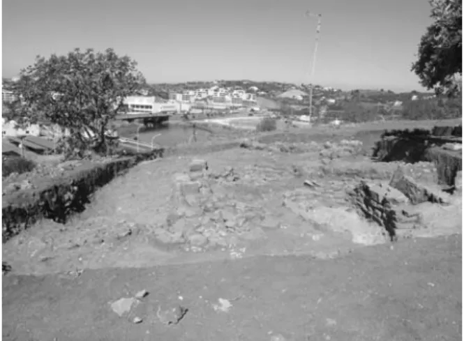 Fig. 1- Monte Molião: vista geral do C.