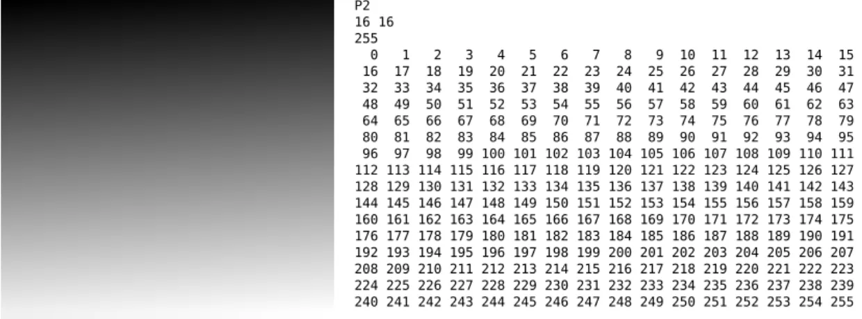 Figura 2.2: Exemplo de imagem no formato PGM ASCII. À esquerda, a imagem ampliada; à direita, sua representação no formato PGM ASCII.