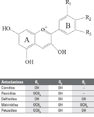 Figura 1: Estruturas das antocianinas e os diferentes substituintes R 1 , R 2  e R 3 