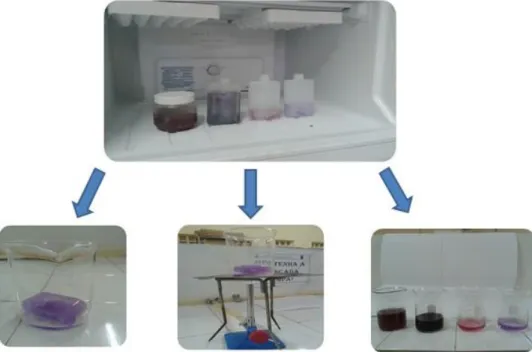 Figura 3: Descongelamento dos extratos para o teste de estabilidade térmica. 