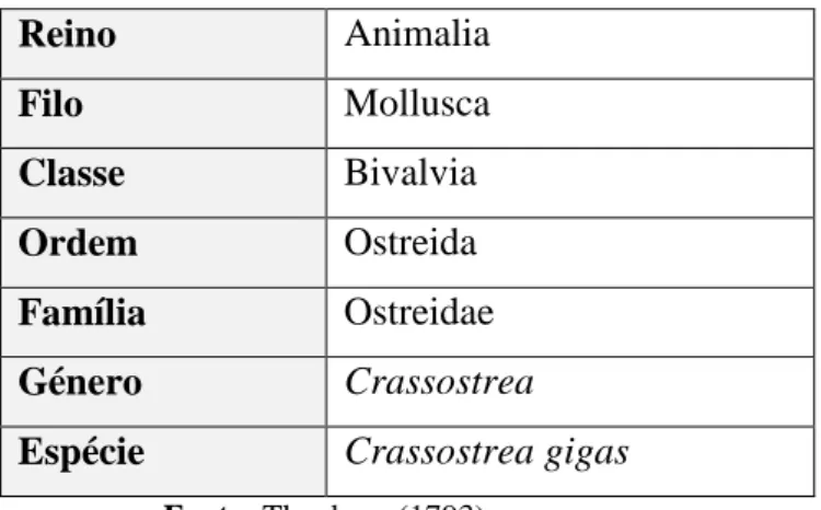 Tabela 1 – Taxonomia da ostra Crassostrea gigas. 