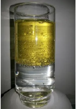 Figura 1: Mistura água e óleo, estudos de densidade