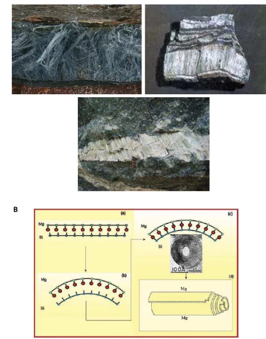 Figura  1:  Os  tipos  de  amianto  e  a  estrutura  da  crisotila.  A)  Tipos  de  amianto,  na  forma  como  são  encontrados  na  natureza  (crocidolita,  amosita  e  crisotila);  B)  Estrutura  tubular  da  crisotila, formada devido o alinhamento dos á