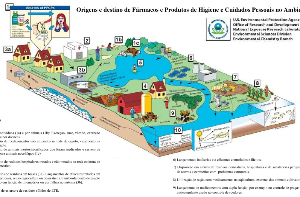 FIGURA 3. Origens e rotas dos FPHCP (modificado). Fonte: http: //epa.gov/nerlesd1/chemistry/pharma/images/drawing.pdf 