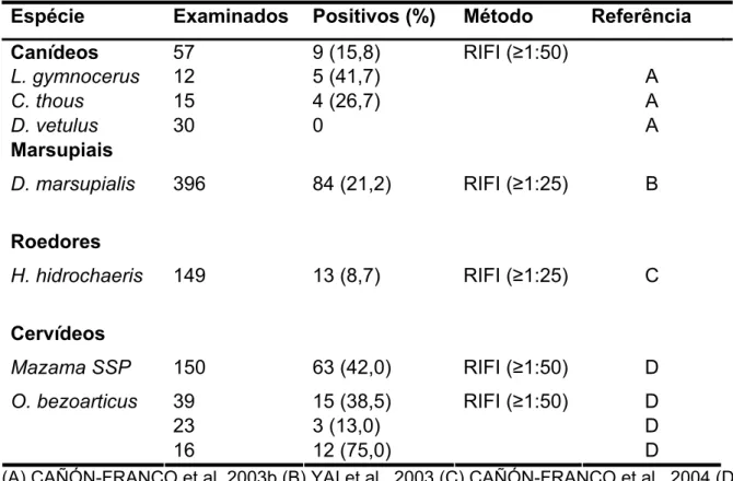 Tabela 1 - Ocorrência de anticorpos anti-N. caninum em diferentes espécies de animais      silvestres brasileiros e método de diagnóstico utilizado  