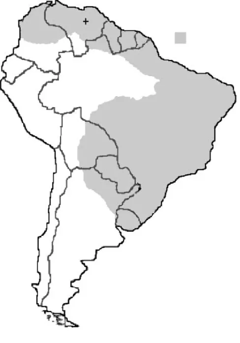 Figura 2- Distribuição de Cerdocyon thous na América do Sul.  