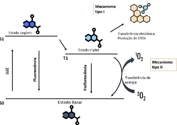 Figura  2.    Representação  esquemática  do  mecanismo  de  ação  do  tratamento  fotodinâmico  (TFD)
