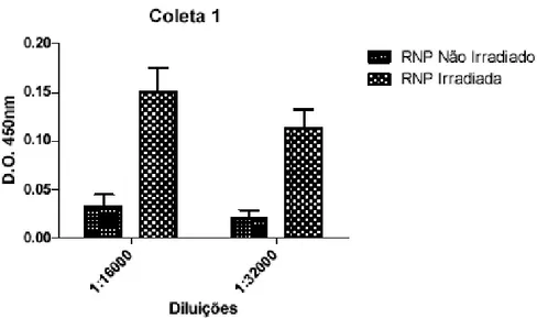 Figura  7  -  Avaliação  por  ensaio  imunoenzimático  do  título  de  anticorpos  dos  soros  de  coelhos  imunizados  com  RNPs  irradiadas  com  2  kGy  (coelhos  grupo  B)  e  não  irradiadas  (coelhos grupo A) obtidos na 1ª coleta exploratória (28 dia