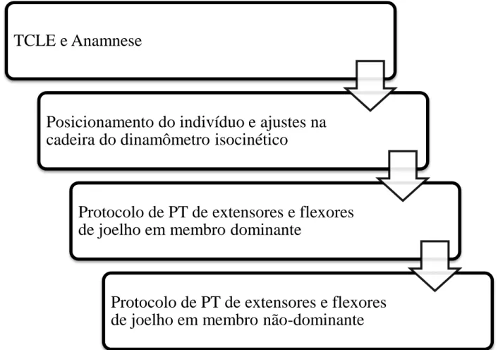 Figura 1: Procedimentos adotados ao longo da coleta de dados.  