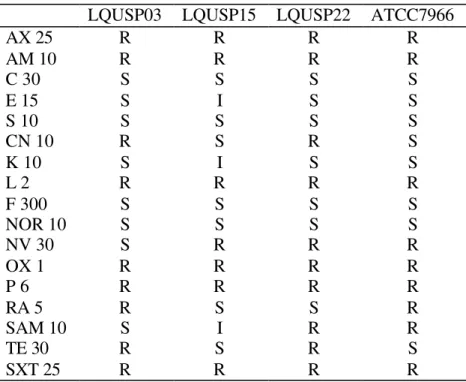 Tabela 3.  Perfil de sensibilidade/resistência das linhagens bacterianas estudadas. S- S-sensível; R-resistente; I-intermediário;  AX 25, amoxicilina (25µg); AM 10,  ampicilina (10µg); C 30, cloramfenicol  (30µg); E 15, eritromicina (15µg); S  10, estrepto