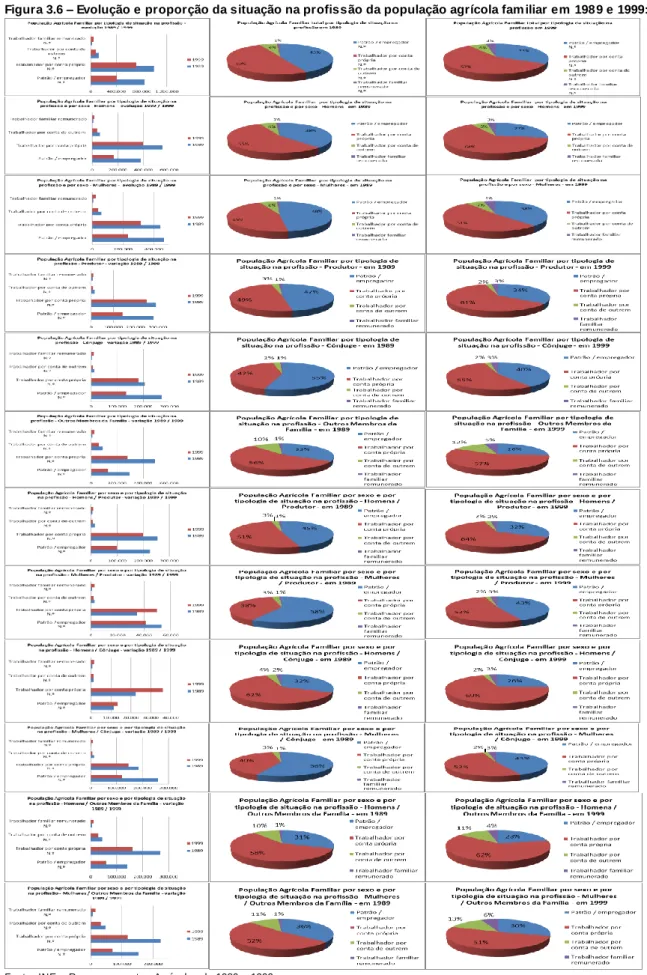 Figura 3.6 – Evolução e proporção da situação na profissão da população agrícola familiar em 1989 e 1999: 