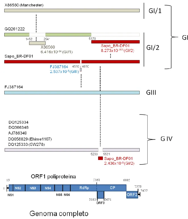 Figura  8.  Análise  de  recombinação  baseada  no  genoma  completo  utilizando  o  método  RDP