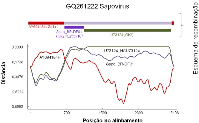 Figura 9. Diagrama de distância de GQ261222 contra os três sapovírus mais relacionados