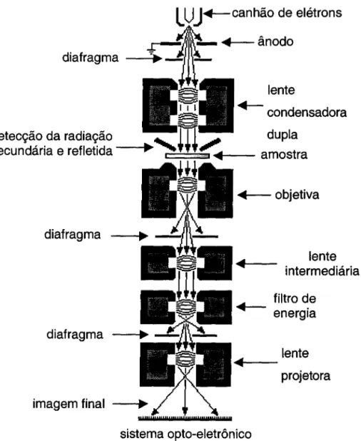 Figura 4. Microscópio eletrônico de transmissão