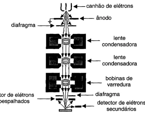 Figura 10. Microscópio eletrônico de varredura por emissão de campo.