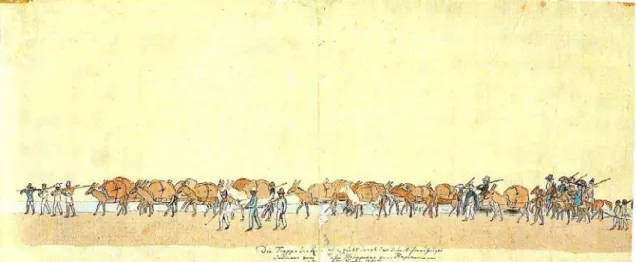 Figura 10. Vista geral da expedição com muares carregados e homens armados a cavalo e a pé