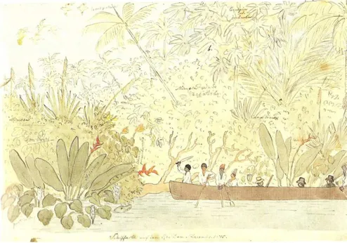 Figura 11. Um bote com oito pessoas diante dos bastidores vegetais do Rio Doce. 1815. Class