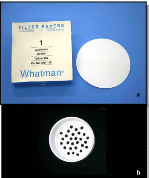 Figura 2 – (a) Papel de filtro Whatman; (b) tampa perfurada 
