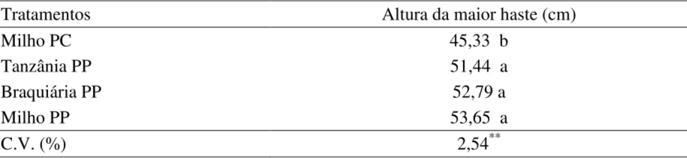 Tabela 3 – Altura média das hastes durante o período de avaliação (cm), de batateiras cultivadas em sucessão a  três  poáceas  em  preparo  profundo  e  a  milho  em  preparo  convencional  de  solo