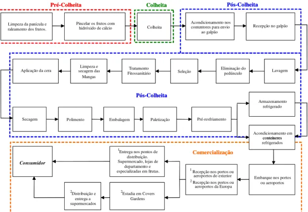 Figura  1.3  -  Fluxo  integrado  de  pré-colheita,  colheita,  pós-colheita  e  comercialização  da  manga destinada ao mercado externo 