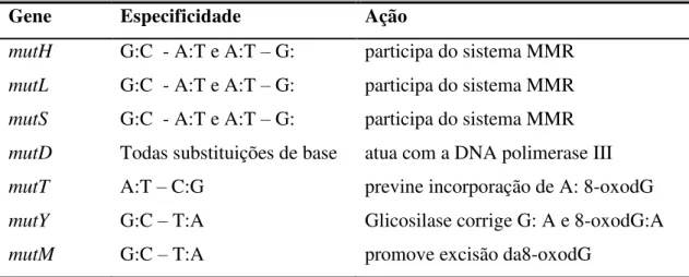 Tabela 1 - Genes do complexo  mut 