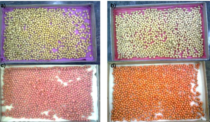 Figura 5 - Aspecto do papel  utilizado como substrato para o  hidrocondicionamento de  sementes  de  soja  em  que  os  fungicidas  foram  adicionados  à  água,  tratamentos HC com F 1 +S (a) e HC com F 2 +S (b), comparado com aos dos  papéis das sementes 