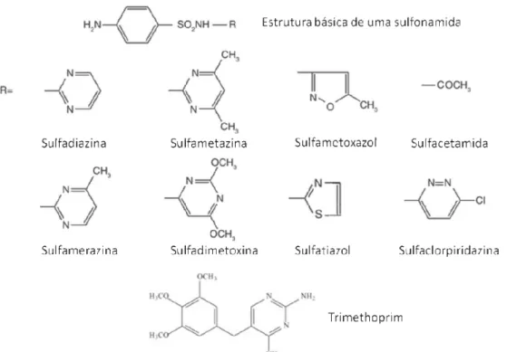 Figura 8: Estrutura de algumas sulfonamidas e do trimethoprim. Adaptado de POSINYAC; 