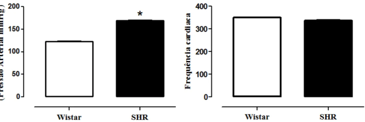 Figura  8  Análise  de  medida  direta  de  pressão  arterial  dos  animais  Wistar  e  SHR