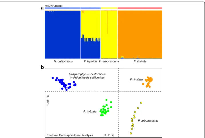 Fig. 2 Genotypic entities within Pelvetiopsis as assessed with microsatellite loci. a Structure plot for K = 3, showing inferred taxonomic entities at the bottom and mtDNA clades at the top