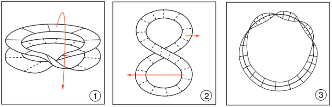 Figura 3.3: A restri¸c˜ ao do fibrado normal de M `a ∂M