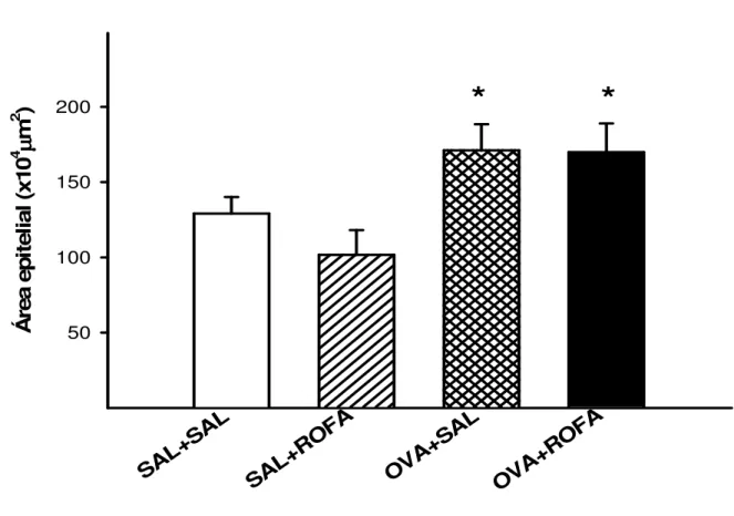 Figura 11. Área epitelial nas vias aéreas de camundongos BALB/c controle  (SAL+SAL), que receberam ROFA in (SAL+ROFA), sensibilizados por OVA  (OVA+SAL),  e  sensibilizados  por  OVA  e  que  receberam  ROFA  in  (SAL+ROFA)