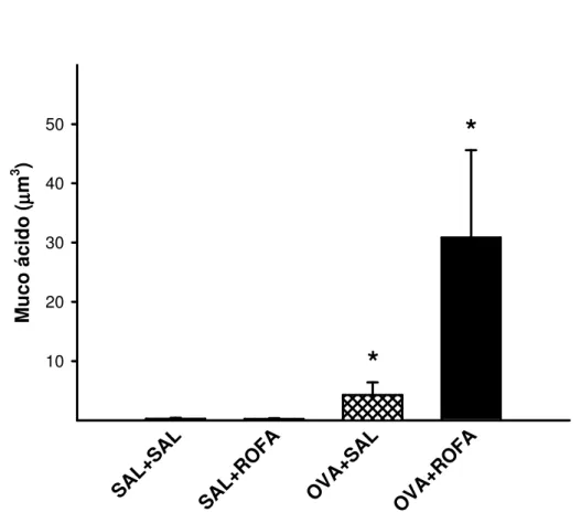 Figura  14.  Volume  de  muco  ácido  armazenado  em  células  secretoras  (dividido  pelo  comprimento  da  membrana  basal  –  MB)  das  vias  aéreas  de  camundongos  BALB/c  controle  (SAL+SAL),  que  receberam  ROFA  in  (SAL+ROFA), sensibilizados por