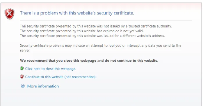 Figure 6 – Access to a site with a certificate issued by an unknown CA, using Microsoft IE 8