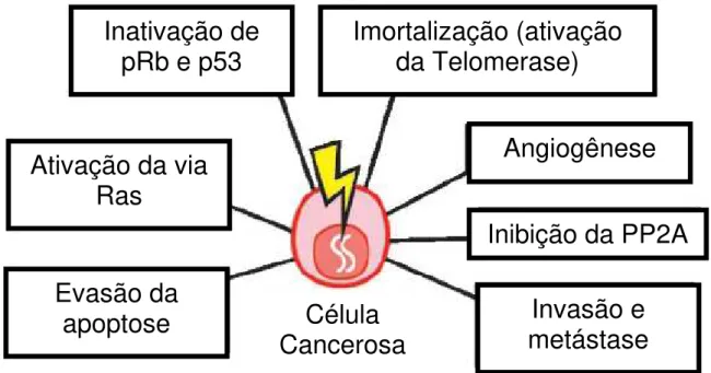 Figura 1: Pré-requisitos para caracterização de uma célula cancerosa. Retirado de Carbone et  Fi