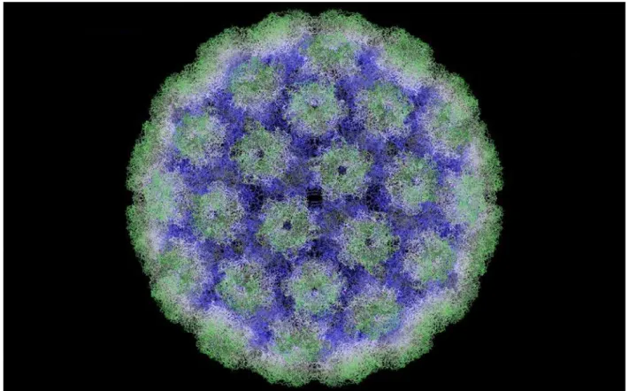 Figura 5: Modelo do capsídeo do Papilomavirus Humano. Retirado de Modis  et al .; 2002