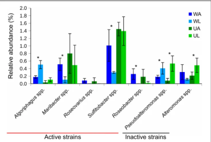 FIGURE 7 | Bar chart shows relative abundances (in %) of 16S rRNA gene reads of taxa, that were tested for morphogenetic activity in previous studies (see the section “Materials and Methods”), associated with Ulva tissue (green) and in water (blue) samples