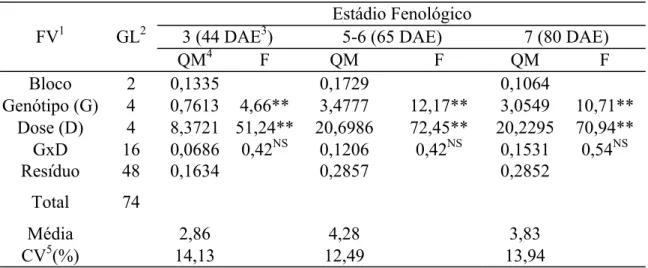 Tabela 14. Resumo da análise de variância referente ao índice de área foliar (m 2 /m 2 )  (experimento 2, população de 70.000 plantas/ha) em três épocas de avaliação