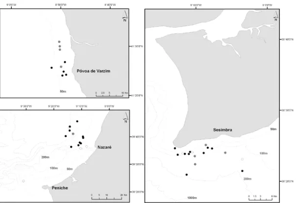 Fig. 2. Sightings of behavioural activities, traveling (black spots), feeding (grey spots)  and socializing (white spots) of common dolphins (Delphinus delphis) in three different  locations of Portugal mainland coast, between January 2007 and October 2009