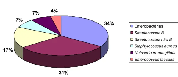 Gráfico 2 - Bactérias identificadas no líquor em 34 recém-nascidos 