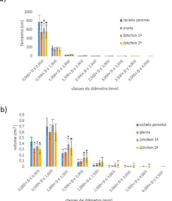 Figura  14  Dados  morfológicos  divididos  nas  classes  de  diâmetro  das  raízes  das  plantas  de  feijoeiro  sem inóculo (Planta), inoculadas como isolado parental (isolado parental), inoculadas com o mutante  Δthcfem 1º (Δthcfem 1º) e inoculadas com 