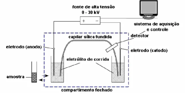 Figura 1.1. Representação esquemática de um equipamento de eletroforese capilar. 