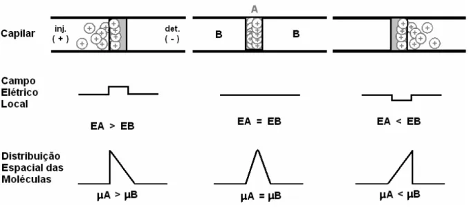 Figura 2.3. Representação esquemática da simetria de pico em função da  similaridade das mobilidades do analito e do eletrólito (Adaptado de Tavares, 1997)