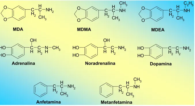 Figura 7. Estrutura química de catecolaminas endógenas, da anfetamina e alguns de seus  derivados