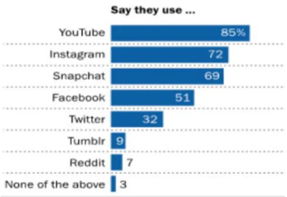 Figura 3 - As redes sociais mais utilizadas pelos  jovens (Fonte:Survey 2018) 