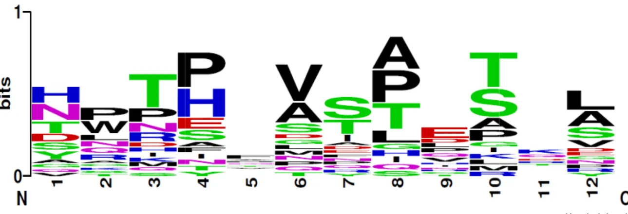 Figura  09.  Distribuição  dos  aminoácidos  que  compõem  as  sequências  peptídicas  selecionadas  a  partir  das  IgMs  eluídas  dos  indivíduos  saudáveis  (EMS)