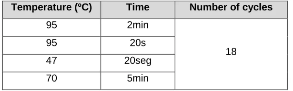 Table 2.3: PCR program for the mutagenesis reaction. 